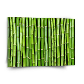 Obraz Bambus