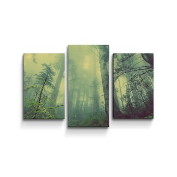 Obraz - 3-dílný Temný les
