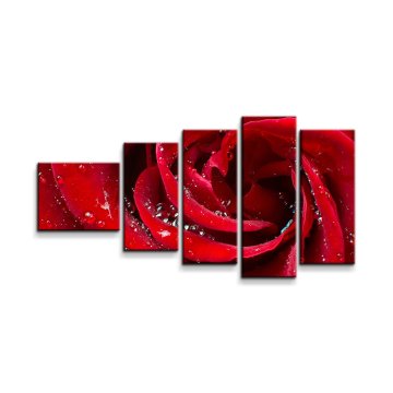 Obraz - 5-dílný Růže