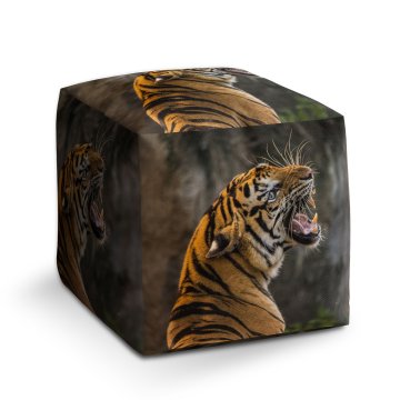 Taburet Řvoucí tygr: 40x40x40 cm