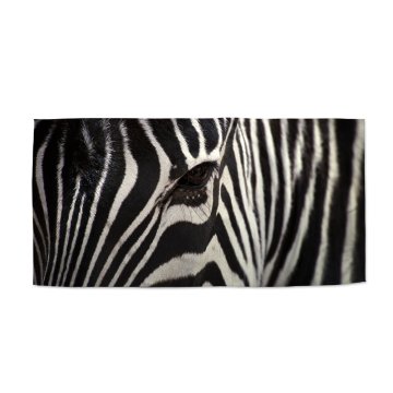 Ručník Detail zebry