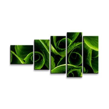 Obraz - 5-dílný Zelené listy