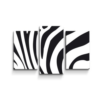 Obraz - 3-dílný Vzor zebry