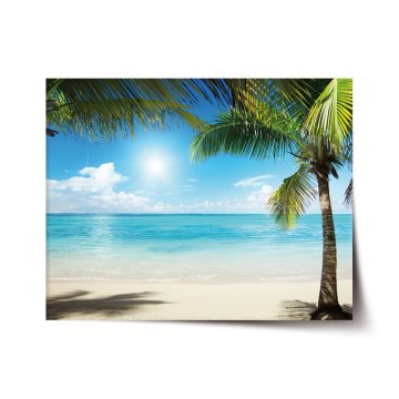 Plakát Pláž s palmami