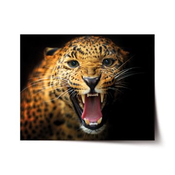 Plakát Gepard 2