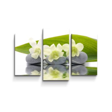 Obraz - 3-dílný Bílá orchidej