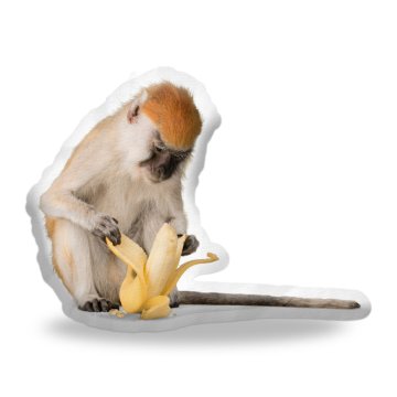 Opice s banánem