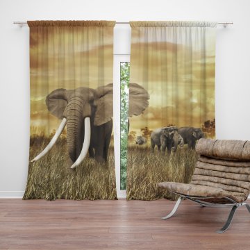 Závěs Slon Africký: 2ks 150x250cm