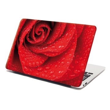Samolepka na notebook Kvet ruže