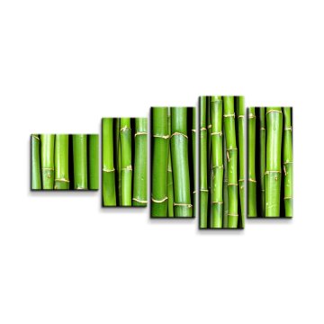 Obraz - 5-dílný Bambus