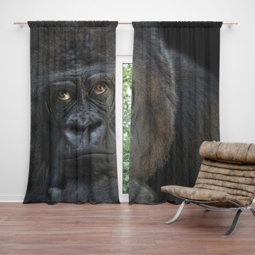 Závěs Gorila: 2ks 150x250cm