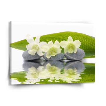 Obraz Biela orchidea