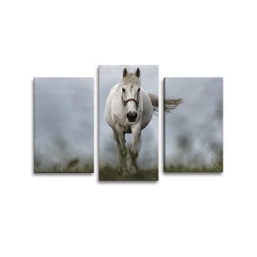 Obraz - 3-dílný Bílý kůň 3