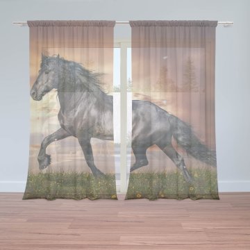Záclony Friský kůň: 2ks 150x250cm