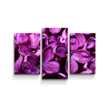 Obraz - 3-dílný Fialové květy