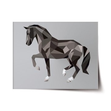 Plakát Kôň