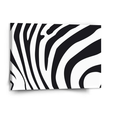 Obraz Vzor zebry