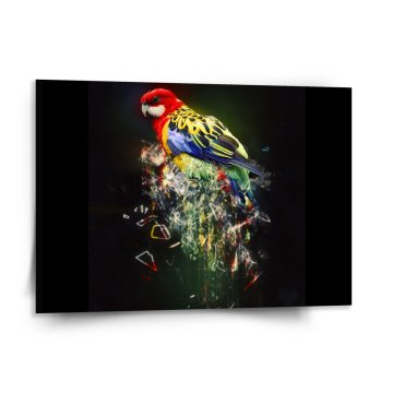 Obraz Farebný papagáj