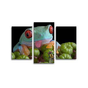 Obraz - 3-dílný Veselá žába