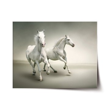 Plakát Dva biele koňe