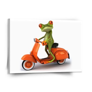Obraz Žaba na motorke