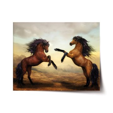 Plakát Vzpierajúce sa kone