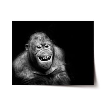 Plakát Orangután