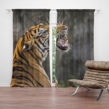 Závěs Řvoucí tygr: 2ks 150x250cm