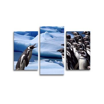 Obraz - 3-dílný Tučňáci