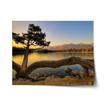 Plakát Strom pri jazere