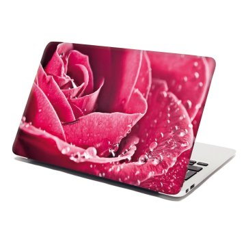 Samolepka na notebook Detail ruže