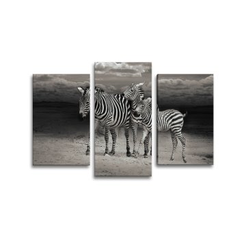 Obraz - 3-dílný Zebry