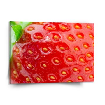 Obraz Detail jahody