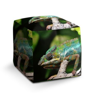 Taburet Chameleon: 40x40x40 cm
