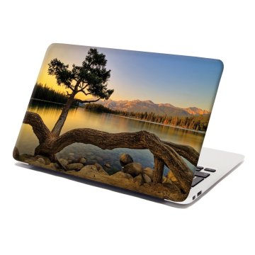 Samolepka na notebook Strom pri jazere