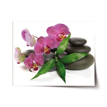 Plakát Orchidea a kamene