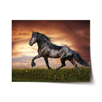 Plakát Frišský kôň
