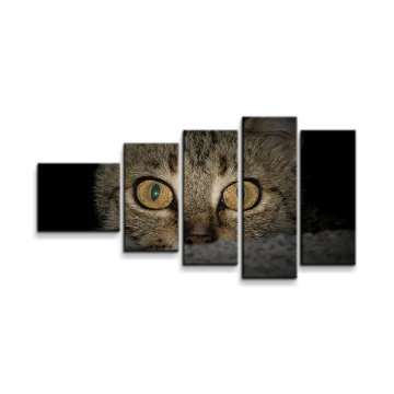 Obraz - 5-dílný Kočka