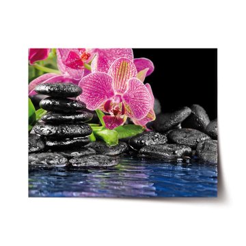 Plakát Orchidea na kameňoch