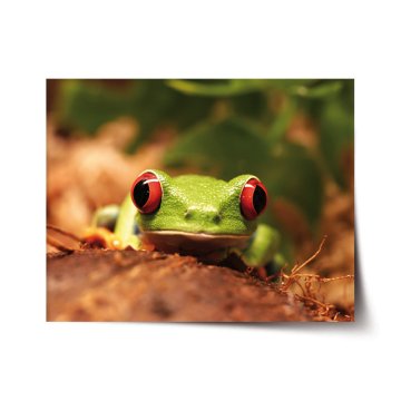 Plakát Zelená žaba