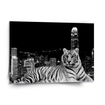 Obraz Mestský tiger