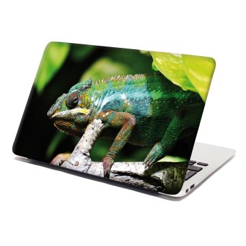 Samolepka na notebook Chameleón