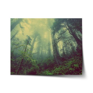 Plakát Temný les