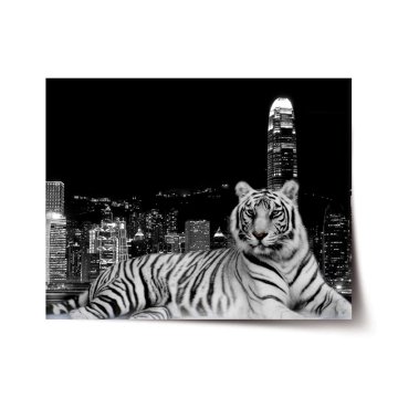 Plakát Mestský tiger