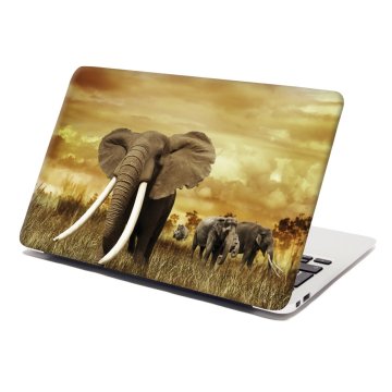 Samolepka na notebook Slon Africký