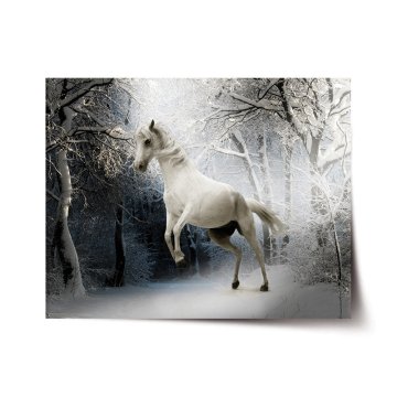 Plakát Biely kôň
