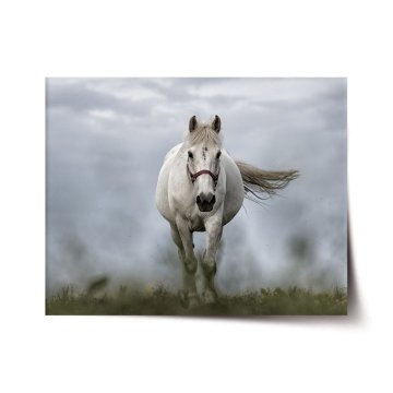Plakát Biely kôň 3