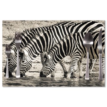 Prostírání Zebry u vody: 40x30cm