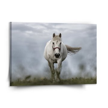 Obraz Biely kôň 3
