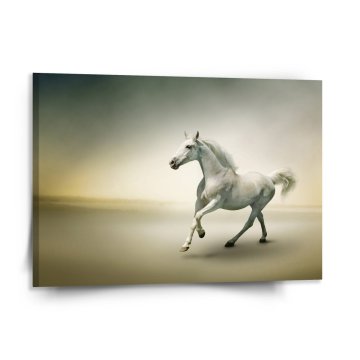 Obraz Biely kôň 2
